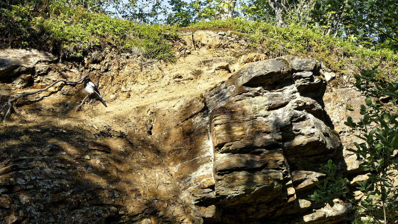 20230731 093448•Tromsø•Troms og Finnmark•Norway